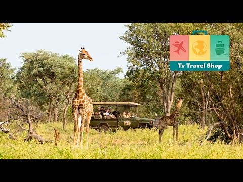 4* Elephant Lodge & Sebatana Private Reserve , South African Safari