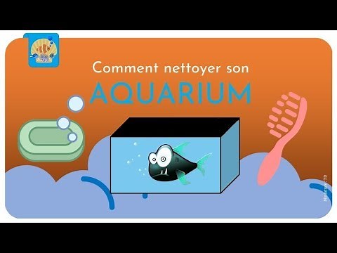 Comment nettoyer son aquarium ?