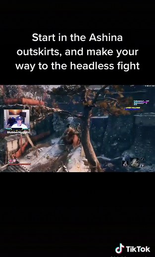 Effective Sekiro Divine Confetti Farming Strategy for Headless Mini Boss