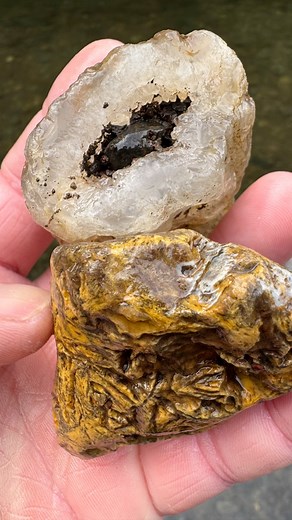 Back to back finds in the river 😋#agates #agate #agatehunting #rockhounding #rockhound #beachcombing #asfound #gem #gems #gemstones #crystal #crystals #beachfinds #chalcedony #fossicking #oregoncoast #oregonagates #iloverocks #beachwalks #tidepools #hidengems #hiddentreasurer #geology #bandedagate #explore #hobby #polishedagate #blueagate #carnelian | TidewaterAgates