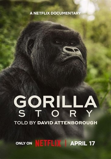 A Gorilla Story: Told by David Attenborough - stream