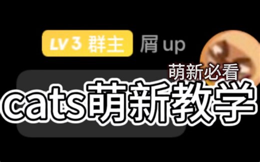 cats萌新教学