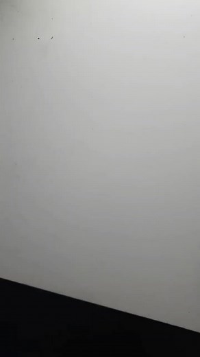 👉Prismacolor vs Polychromos👈 @lanaarts23🐷 #drawing #zeichnen #horstigang #kunst #art