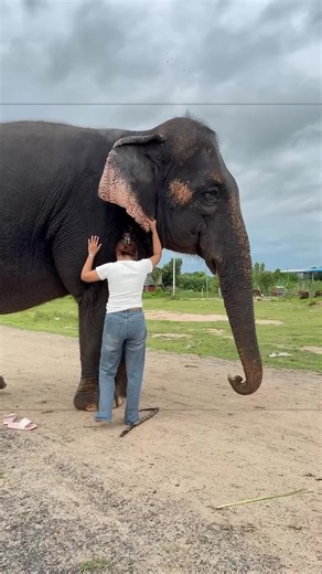 Gunung Semeru Meletus Lagi: Update Terbaru Hari Ini