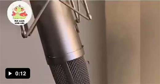 Buzzing sound - Video