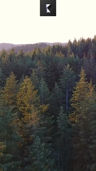 Effective Communication: Speak Briefly, Not Loudly 🤔 . In this thought-provoking video, we explore the wisdom of Joseph McCormack's quote: