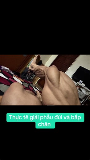 Thực tế giải phẫu đùi và bắp chân trong thể hình