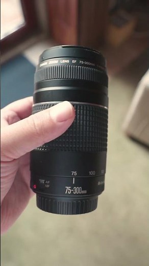 How Far Can They Zoom In? Canon EF 75-300mm vs EF-S 18-55mm