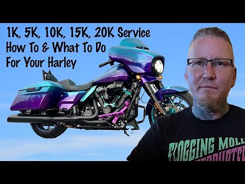 Harley Davidson 1k, 5k, 10k Service How To & What To Do For Beginners