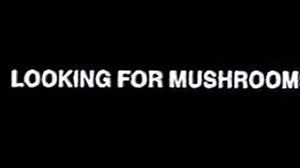 Bruce Conner - Looking For Mushrooms (1967) | Full 14min version |