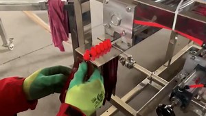 automatic_dual_head_spout_pouch_filling_&_capping_machine (720p)_CK