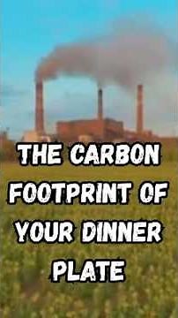 The Carbon Footprint of Your Dinner Plate #foodfacts