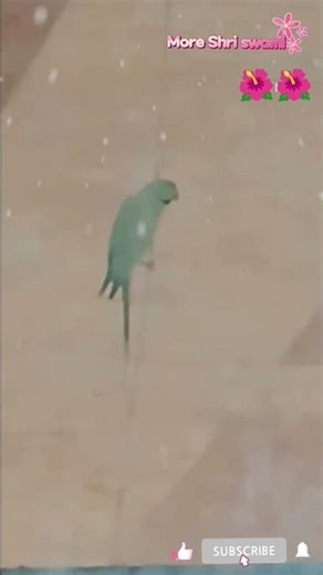 java navin popat ha@More Shri swami#shorts#viral