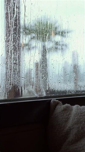 🌧️ Soothing Rain Inside a Car | Relaxing ASMR Sounds for Sleep & Chill #shorts #asmr #rain