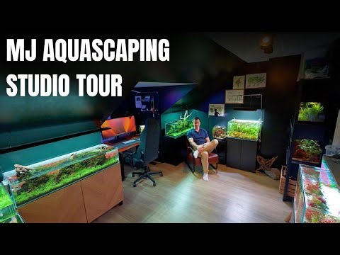 MY ENTIRE AQUARIUM COLLECTION IN ONE VIDEO (Christmas Special)