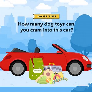 Happy “DOGUST” from Kelley Blue Book. Find a deal on the ride your dog (and you) deserve with the help of Price Advisor on KBB.com. | Kelley Blue Book | Facebook