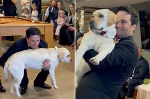 Groom’s ‘father-dogter’ dance with Labrador steals wedding spotlight