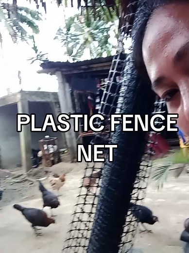 Durable Plastic Fence Net for Chicken Farming