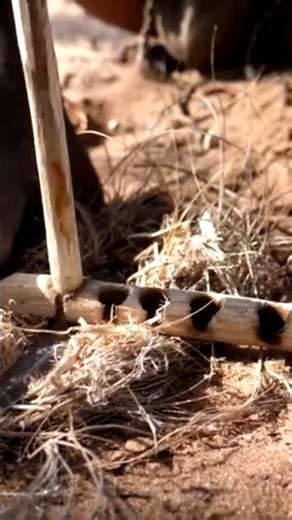 23 March 2026#amejon jangal