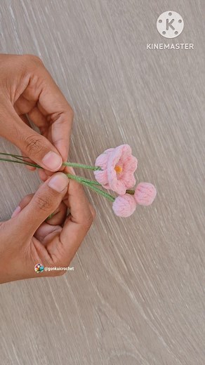 49K views · 1.1K reactions | Free pattern Tutorial on YouTube Gonkui Crochet step by step #fbreels #reels #crochet #crochetflower | Gonkui Crochet & Chapa crochet craft | Facebook