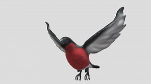 DoomLord Sculpt - Download Free 3D model by muppe5