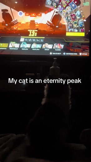 Meet the Marvel Cat: A Thor One Trick Wonder