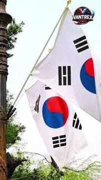 🇰🇷THE SHOCKING RISE OF SOUTH KOREA!FROM WAR TO WORLD POWER #documentary #youtubeshorts #animals