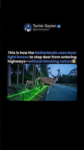 Netherlands Tests Laser Fences to Stop Wildlife Road Accidents 🤯🦌