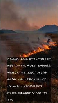 【熊本がんばれ】森と島と大地が育む熊本の宝｜小国杉・天草ヒノキ・阿蘇 #Shorts