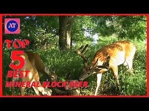 Best Mineral Block for Deer Reviews in 2023