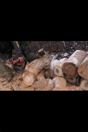 Stihl 064av HOTSAW 1st Cuts
