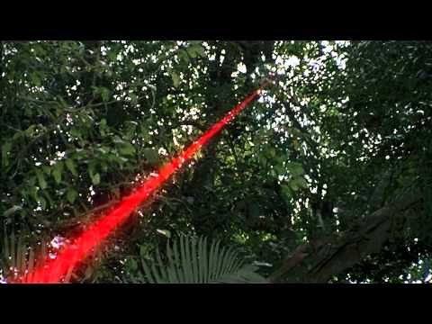 Predator all kills master piece