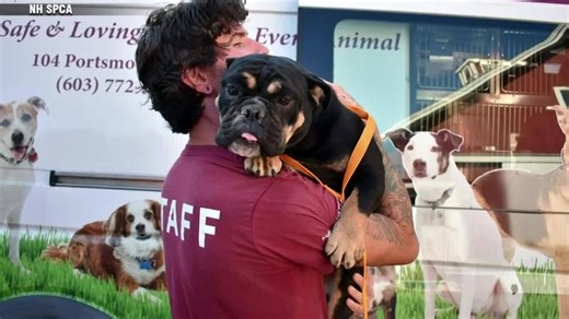 NHSPCA rescues more than three dozen animals found neglected in Northwood, NH