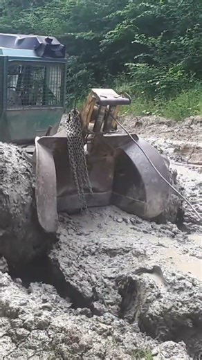 Nothing Stops a Timberjack 💪