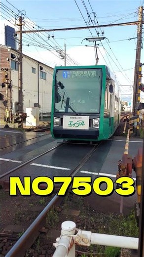 🚋✨【鹿児島市電7503号】エイブル Wakita Crossing Passage｜【脇田4号踏切】通過！ #shorts