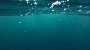 5 Best Saltwater Spinning Reels For 2026 (PRO Buying Guide)