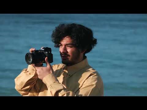 Best NIKON Cameras to Buy in 2026