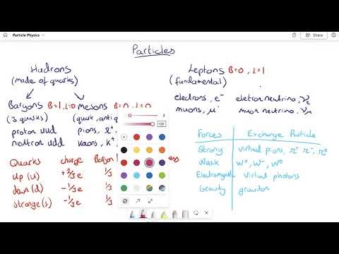 Fundamental Forces Explained: A-Level Physics