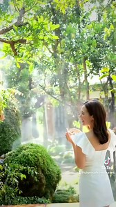 4.4K views · 47 reactions |  CHOM CAFE CHIANGMAI  | Chom Cafe and Restaurant | Facebook