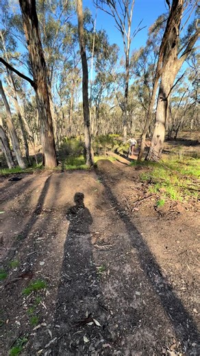 Bozza _MTB🚲🏉🎾🥋 (@bozza_mtb)’s videos with son original - Sam★