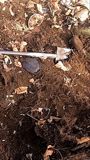 Metal Detecting Old 1800 Glasses Silver Coins Relics Toys Farm Western NY #metaldetecting #shorts | Metal Detecting NY