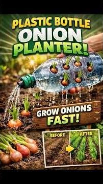 Grow Onions FAST Using a Plastic Bottle! 🧅♻️ | Genius Garden Hack #garden #houseplants