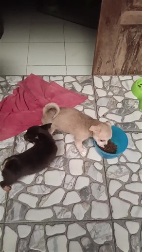 เกิดมื้อวานนิ ตัวเท่ากำปั้นนิ 😂😂