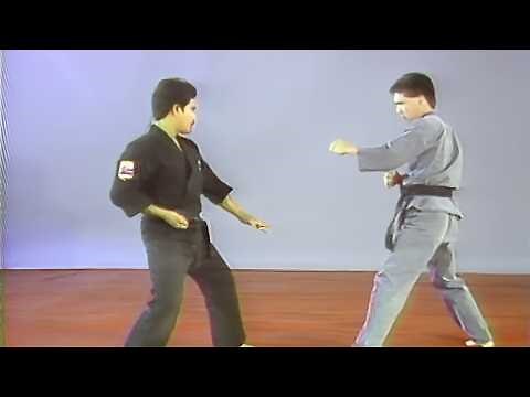 Lima Lama in 2 Minutes | Just The Basics