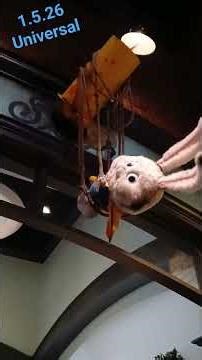 Secret Life of Pets #universal #universalstudios #hollywood #themepark #fun #happy #like