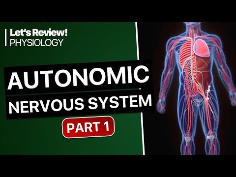 Autonomic Nervous System Part 1 (Quiz)