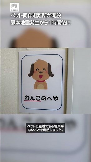 Pet-Friendly Evacuation Shelter Opens 1 Hour After Kumamoto Earthquake - NEWS Postseven [Short Vi...