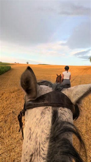 Summer ride horseback tips for horse girls