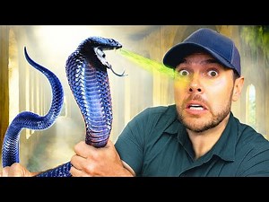 Catching Spitting Cobras in Abandoned Hotel!