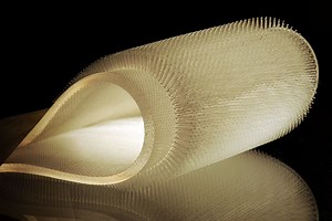 Beaver-inspired wetsuits in the works